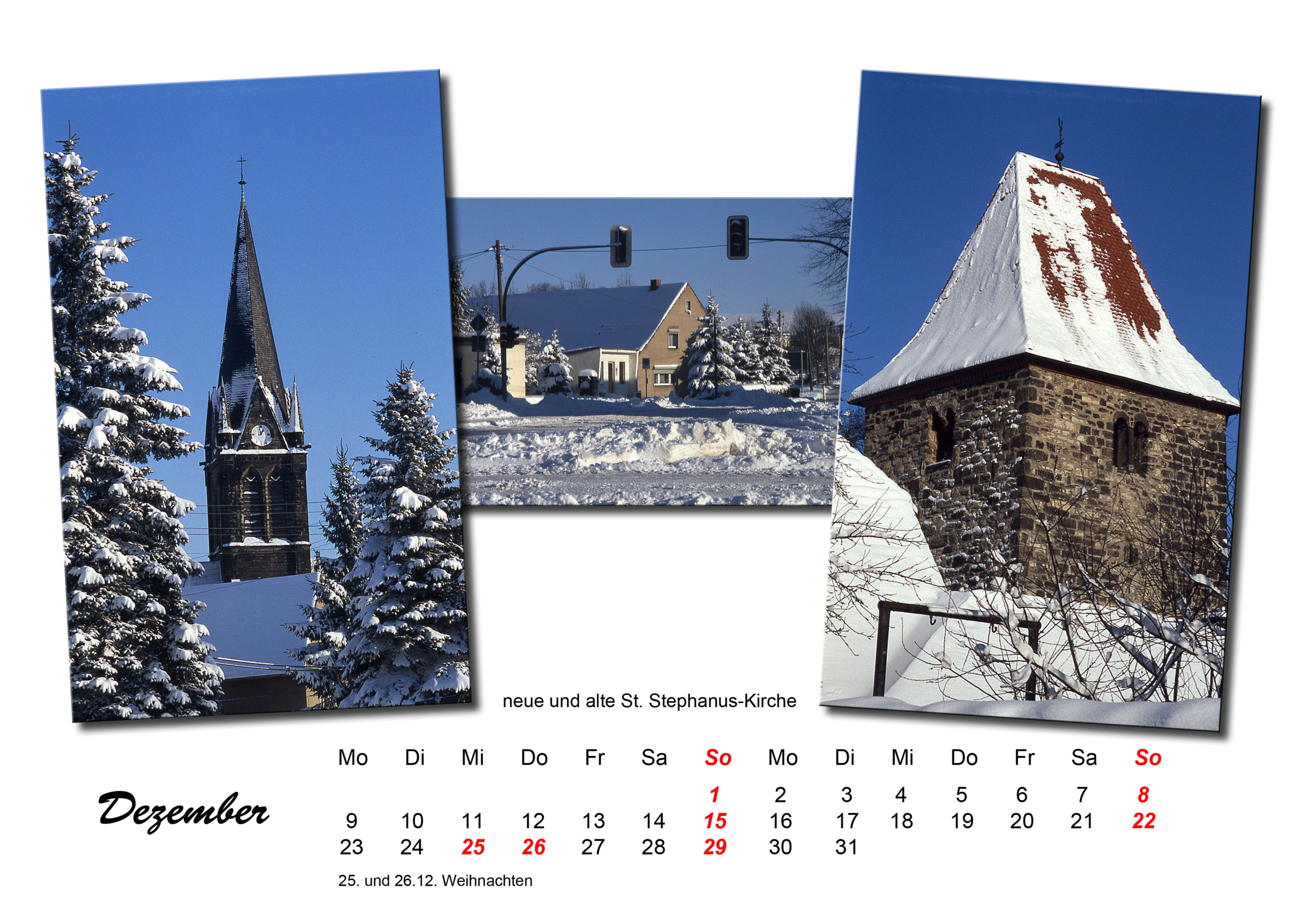 Polleben – Dezember Dezember2013